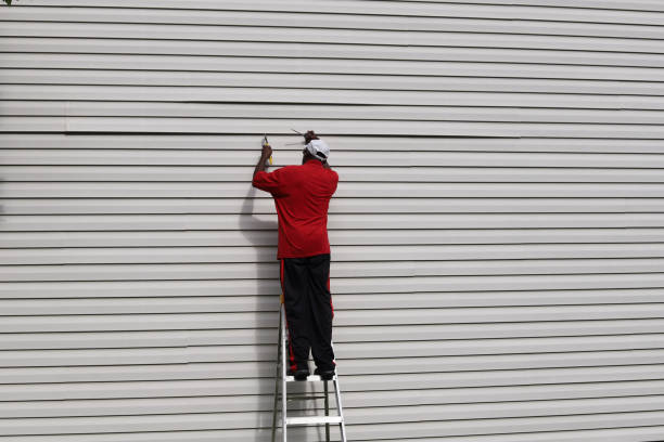 Best Aluminum Siding Installation  in Sussex, WI